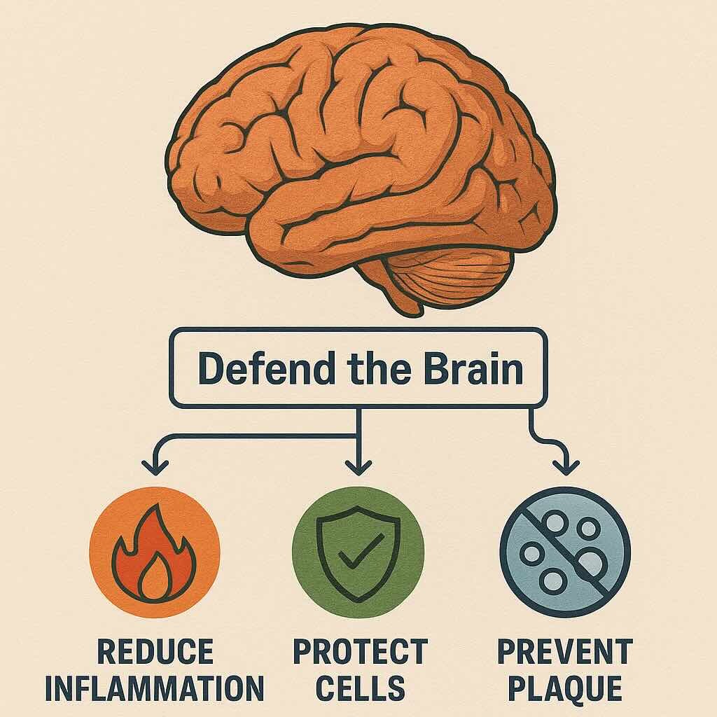 Here, we explore ten powerful foods backed by modern #research that nourish neurons, fight #inflammation, and guard your #brain from the devastating effects of #Alzheimer’s #manwarden #longevity

https://manwarden.com/ten-foods-that-might-protect-and-defend-your-brain-from-alzheimers/
